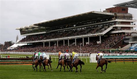 Cheltenham Festival day 4 tips: six horses to back on Friday .